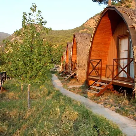 Campingplads Pinokyo Bungalove *